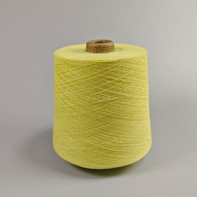 Độ bền cao Para Aramid Yarn Số lượng sợi 30S2 Thích hợp để sản xuất vải bảo vệ và gia cố bền